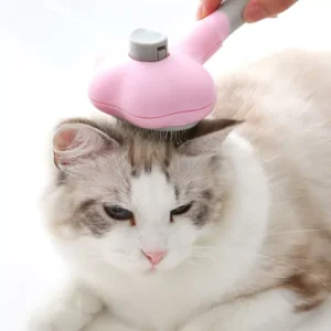 Cepillo autolimpiante