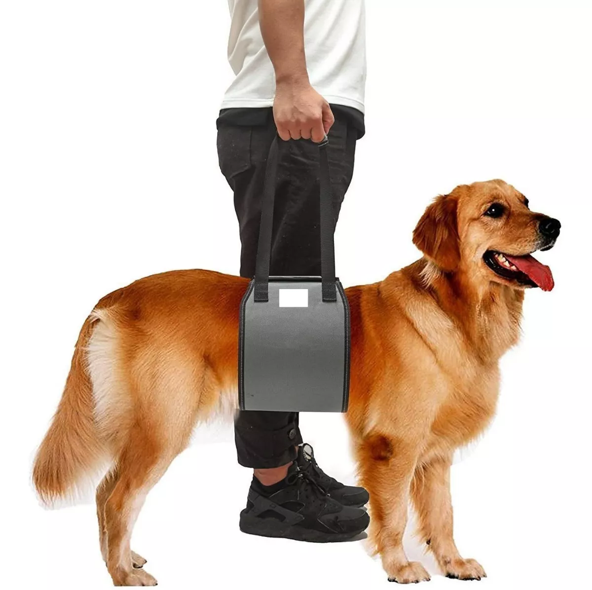 Arnés De Rehabilitación L Rascals