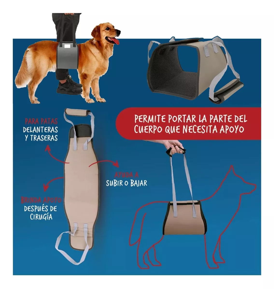 Arnés De Rehabilitación L Rascals - Imagen 2