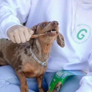 D_NQ_NP_601490-MLA79036577923_092024-O