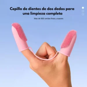 D_NQ_NP_888647-MLA81650392291_122024-O