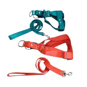 Conjunto Pretal y Correa Nylon Liso