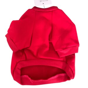 Photoroom_20250226_232700