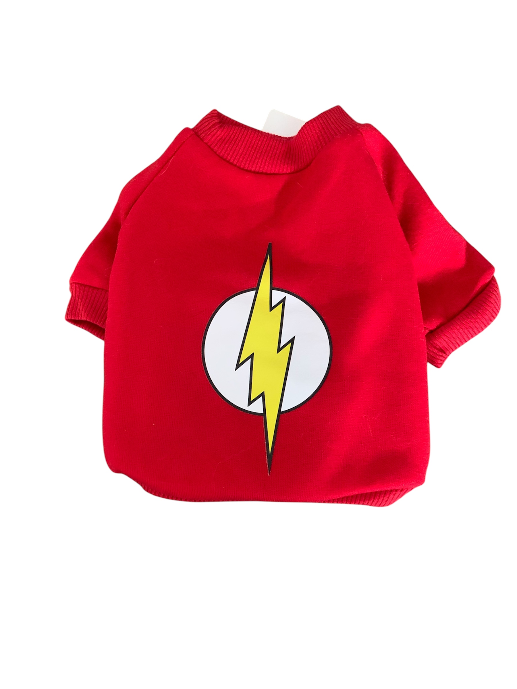 Buzo Disney de Flash 1