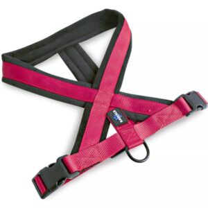 Pretal Arnés Perro Acolchonado Premium Rascals