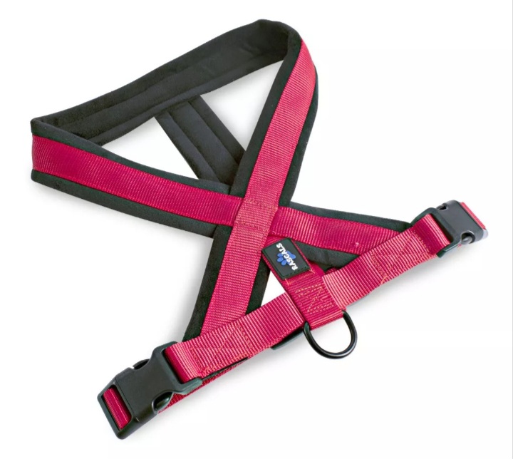 Pretal Arnés Perro Acolchonado Premium Rascals