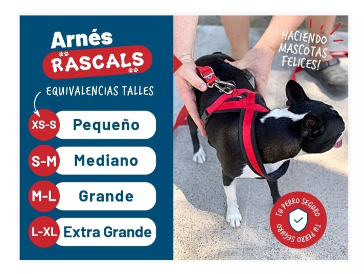 Pretal Arnés Perro Acolchonado Premium Rascals - Imagen 3