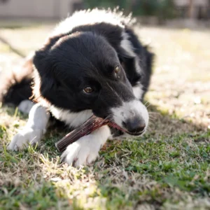 img_0696-ccacca74874c8c2c5217144793582870-480-0