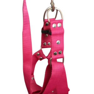 Correa + Pretal Arnes Mascota Grande Regulable Reforzado