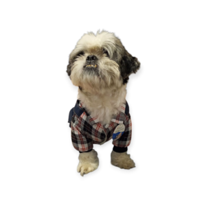 Abrigo Enterito Vaquero Jean