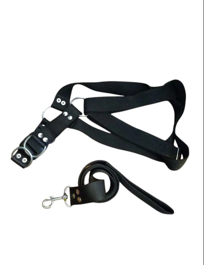 Conjunto correa y pretal Talle Xl