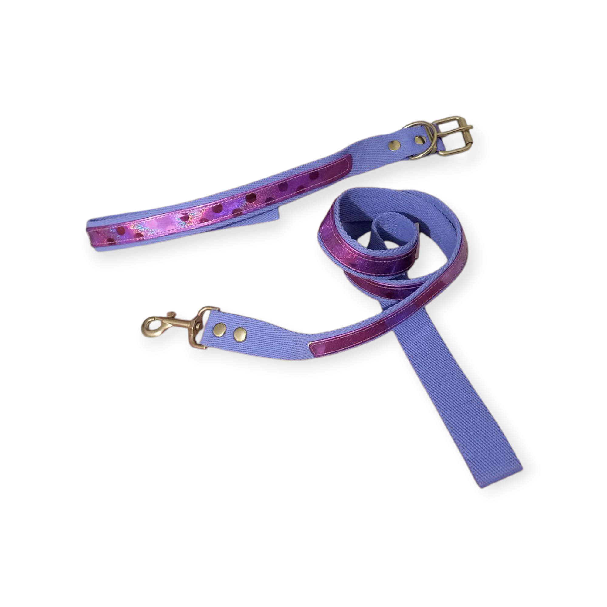 Conjunto collar y correa