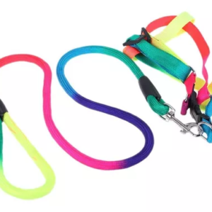 Correa flúor con pretal