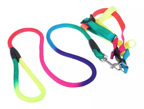 Correa flúor con pretal