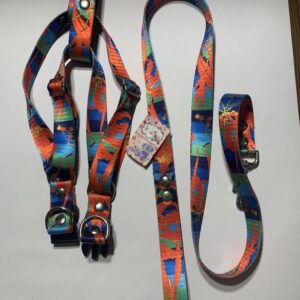 Conjunto Pretal y Correa Talle 3