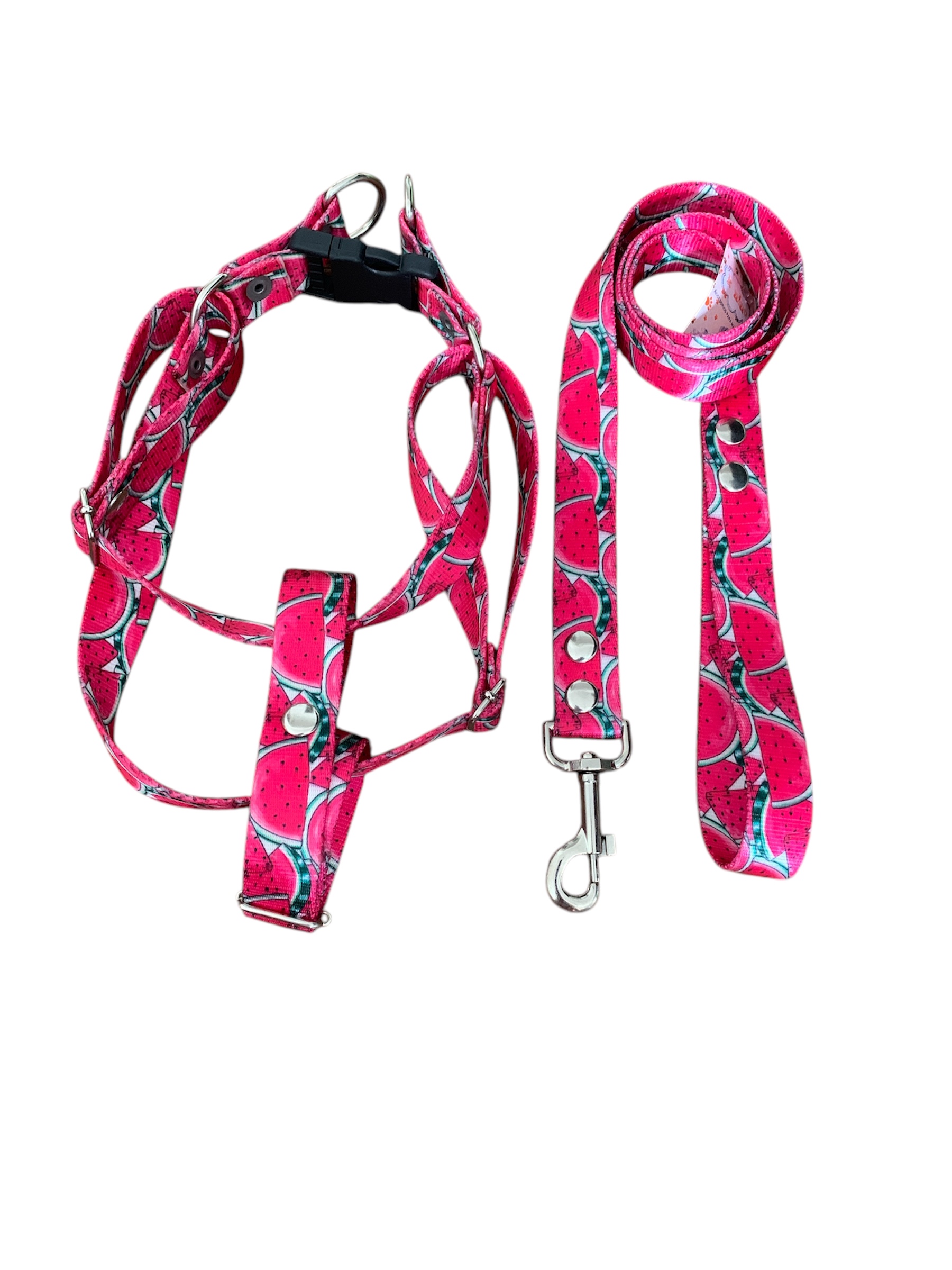 Conjunto Pretal y Correa Talle 3 - Imagen 4